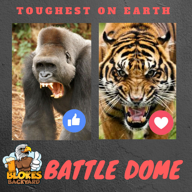 The Battle Dome